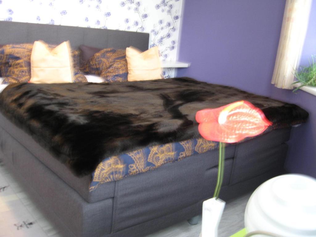 Apartment Sejko Český Krumlov Rum bild