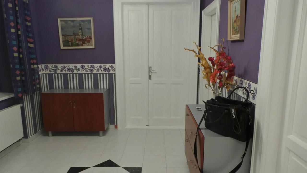 Apartment Sejko Český Krumlov Rum bild